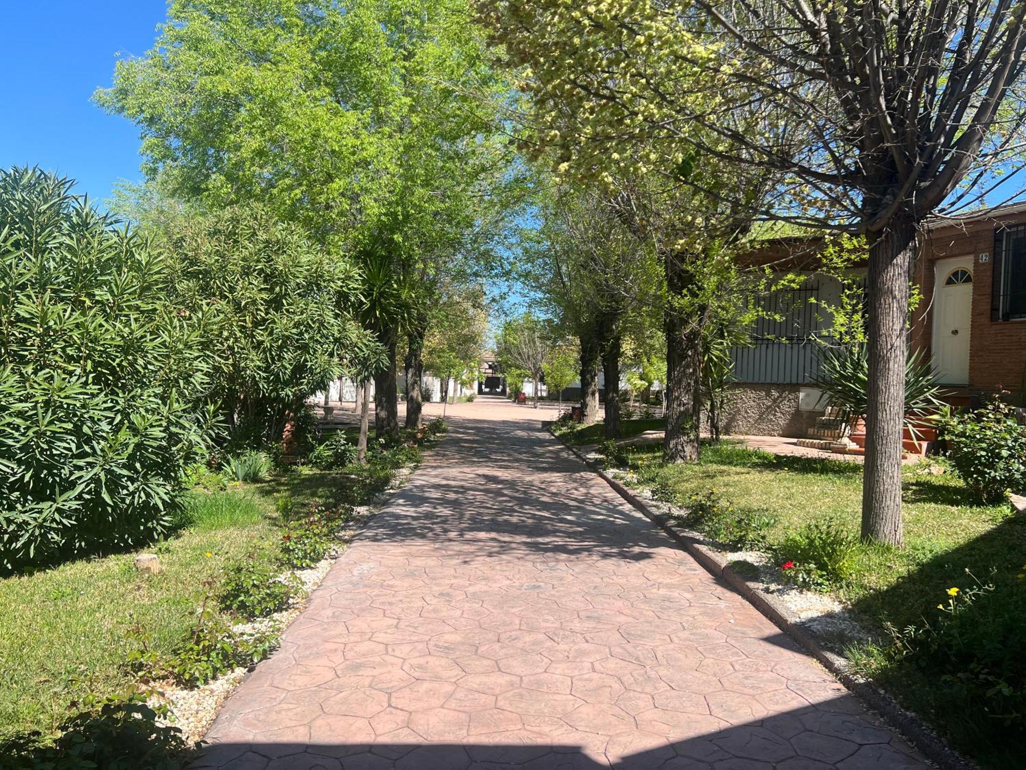 Bungalow Padul El Mamut Exteriör bild